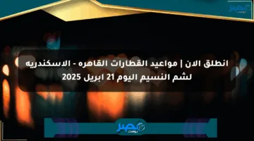 انطلق الآن | مواعيد القطارات القاهرة – الإسكندرية لشم النسيم اليوم 21 أبريل 2025